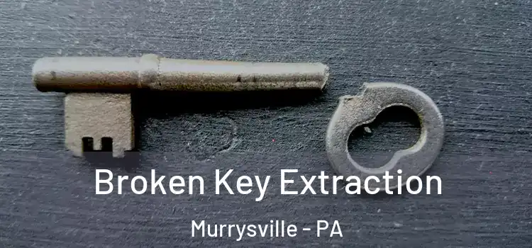  Broken Key Extraction Murrysville - PA