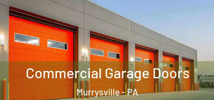  Commercial Garage Doors Murrysville - PA