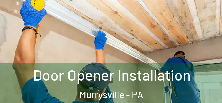  Door Opener Installation Murrysville - PA