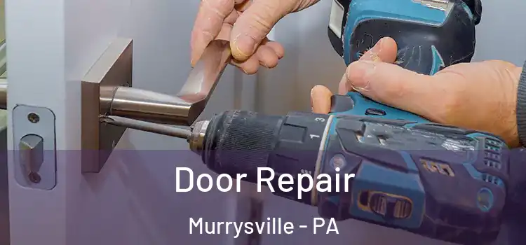  Door Repair Murrysville - PA
