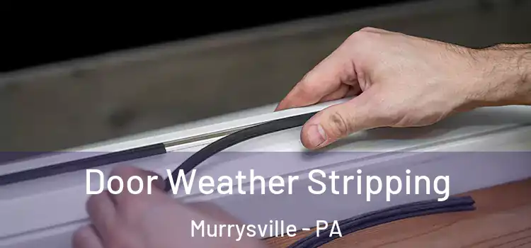 Door Weather Stripping Murrysville - PA