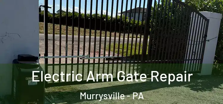  Electric Arm Gate Repair Murrysville - PA