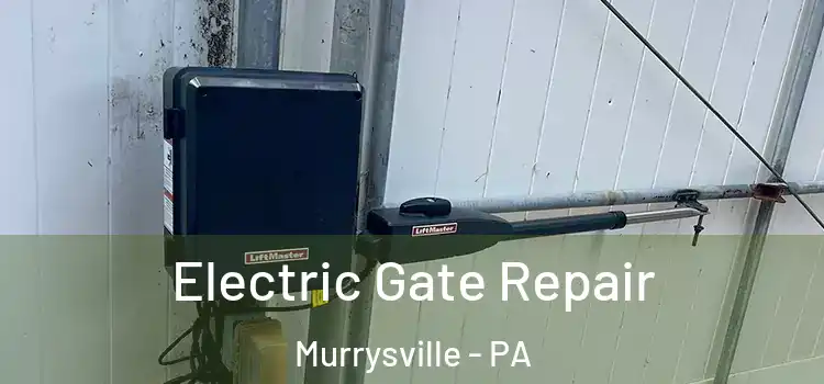  Electric Gate Repair Murrysville - PA
