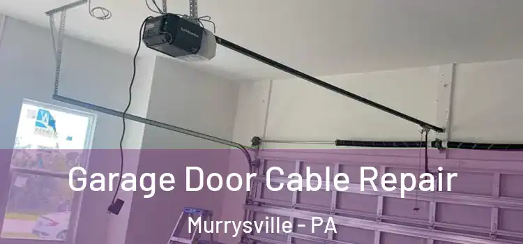  Garage Door Cable Repair Murrysville - PA