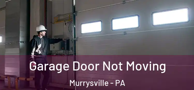  Garage Door Not Moving Murrysville - PA