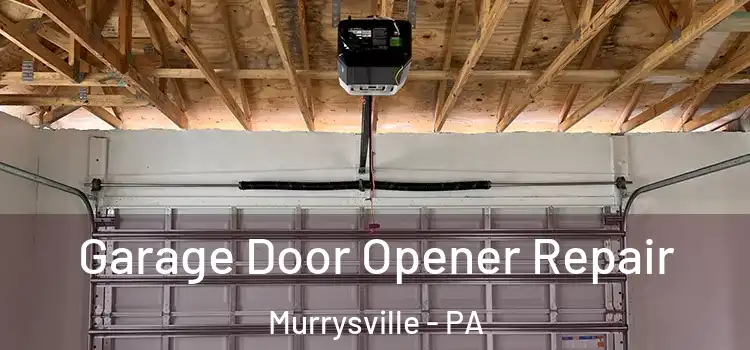  Garage Door Opener Repair Murrysville - PA