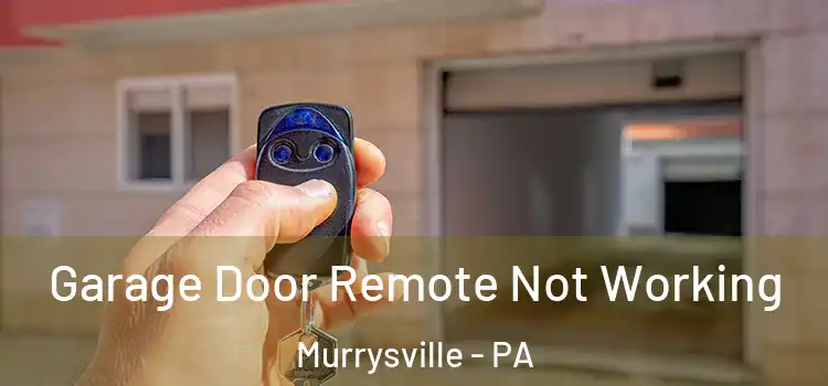  Garage Door Remote Not Working Murrysville - PA