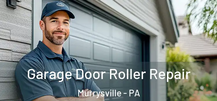  Garage Door Roller Repair Murrysville - PA