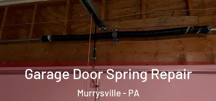  Garage Door Spring Repair Murrysville - PA
