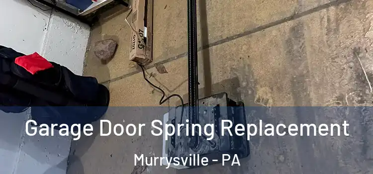  Garage Door Spring Replacement Murrysville - PA