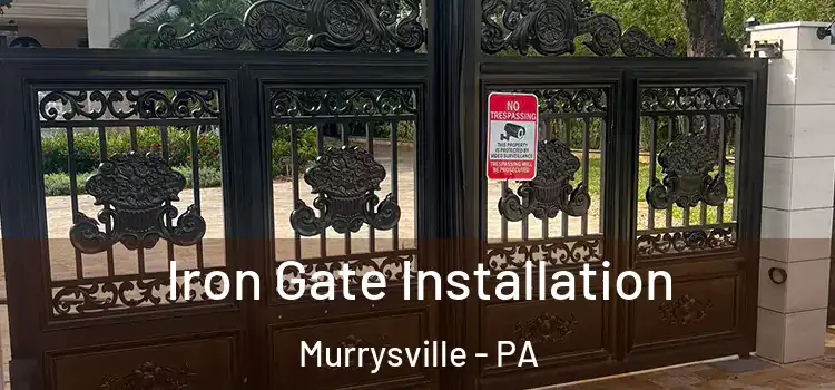  Iron Gate Installation Murrysville - PA