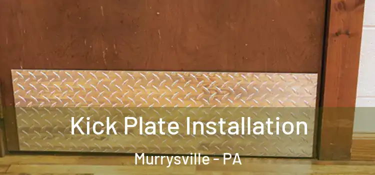  Kick Plate Installation Murrysville - PA