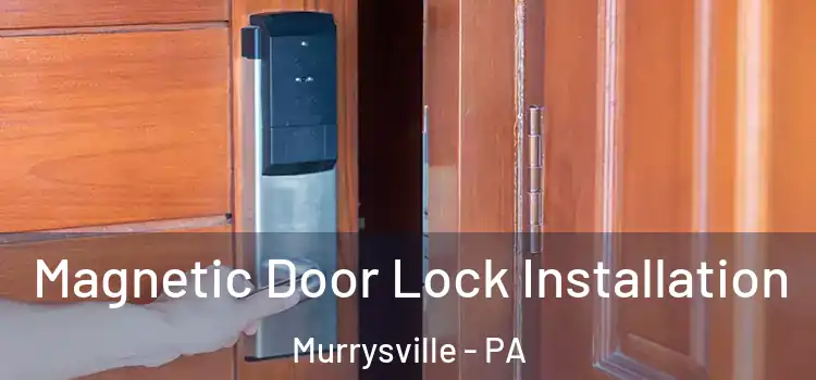  Magnetic Door Lock Installation Murrysville - PA