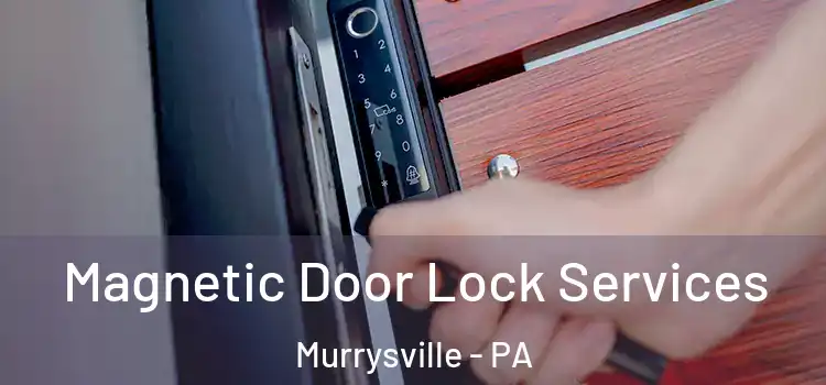  Magnetic Door Lock Services Murrysville - PA