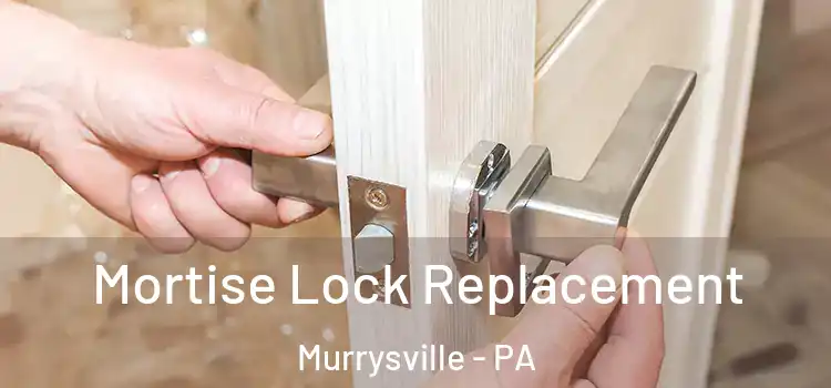 Mortise Lock Replacement Murrysville - PA