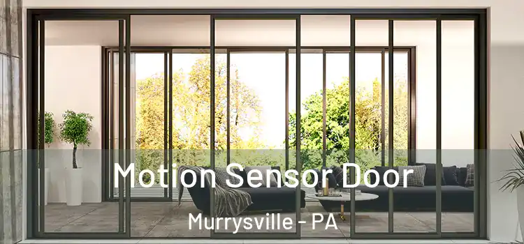  Motion Sensor Door Murrysville - PA