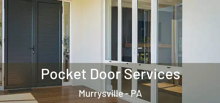 Pocket Door Services Murrysville - PA