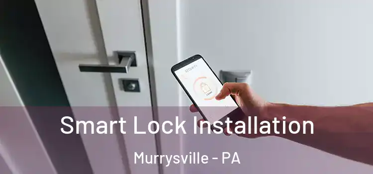 Smart Lock Installation Murrysville - PA