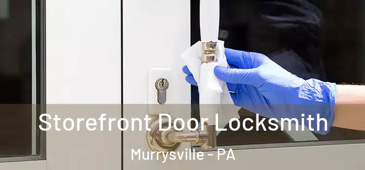 Storefront Door Locksmith Murrysville - PA