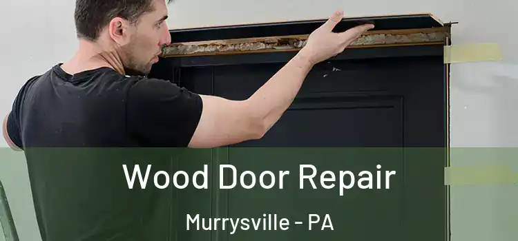 Wood Door Repair Murrysville - PA